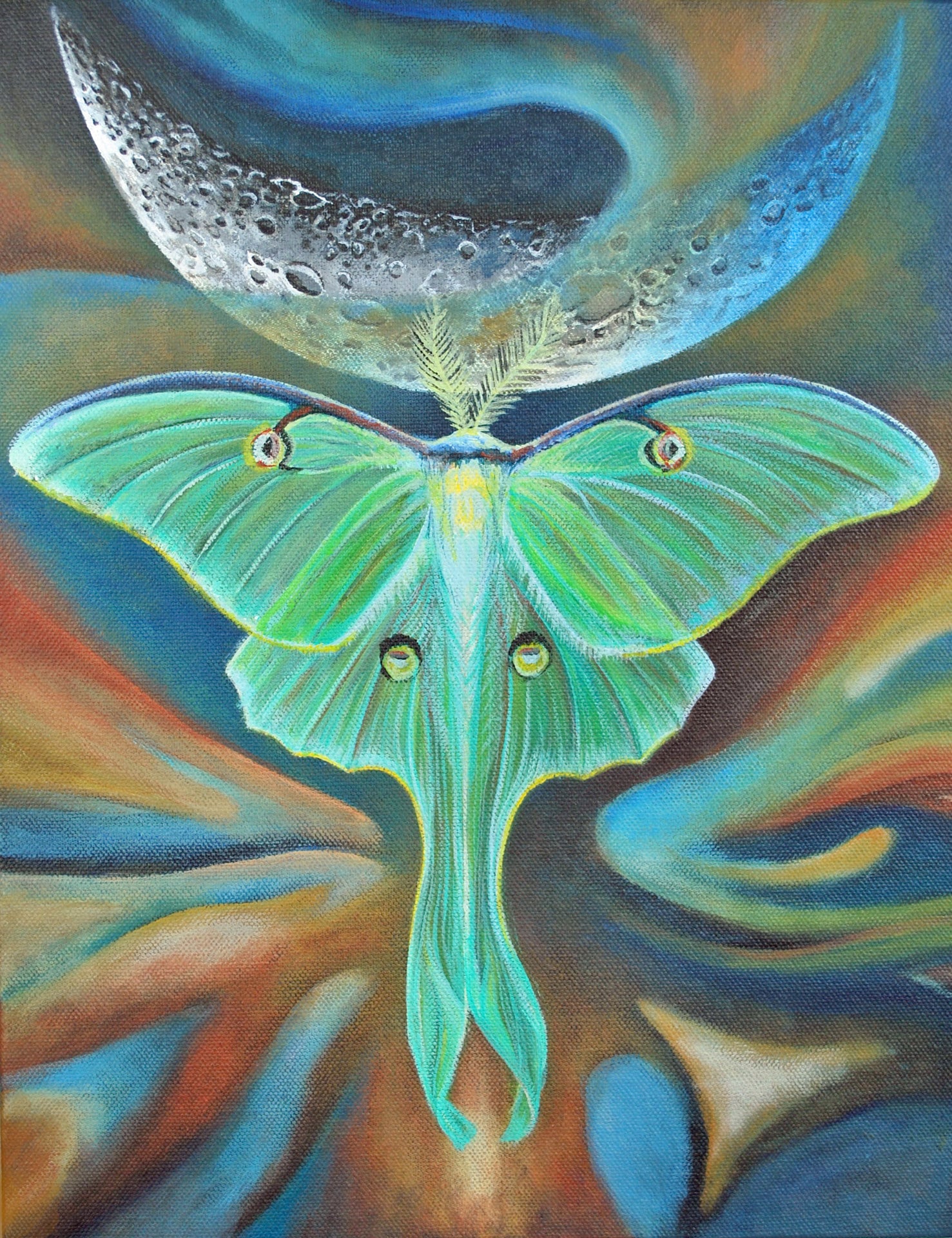 luna moth painting